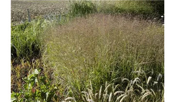 Gartenbaumschule Becker