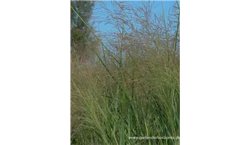 Gartenbaumschule Becker