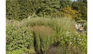 Gartenbaumschule Becker