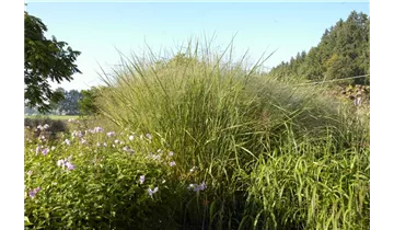 Gartenbaumschule Becker