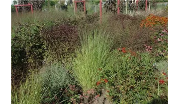 Gartenbaumschule Becker