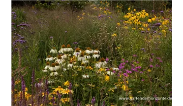 Gartenbaumschule Becker