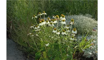 Gartenbaumschule Becker