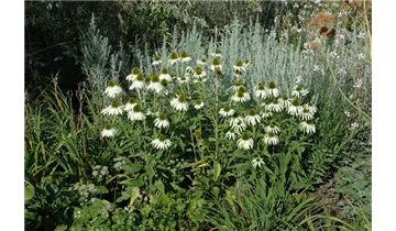 Gartenbaumschule Becker