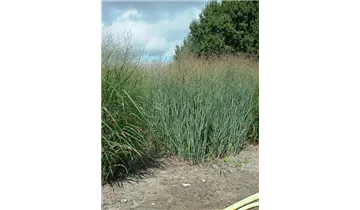 Gartenbaumschule Becker