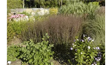 Gartenbaumschule Becker