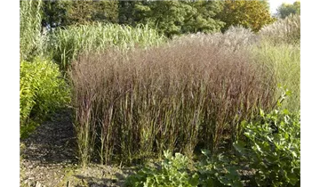 Gartenbaumschule Becker