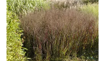 Gartenbaumschule Becker