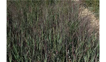 Gartenbaumschule Becker