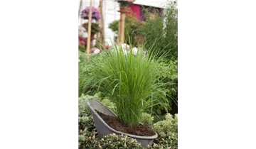 Gartenbaumschule Becker