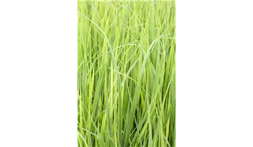 Gartenbaumschule Becker