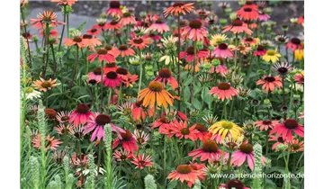 Gartenbaumschule Becker