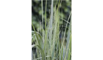 Gartenbaumschule Becker