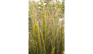 Gartenbaumschule Becker