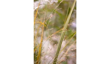 Gartenbaumschule Becker