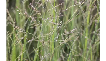 Gartenbaumschule Becker