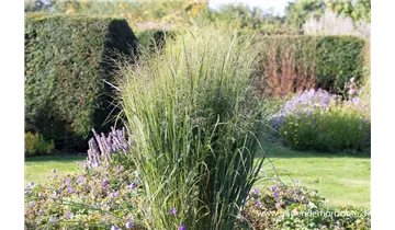 Gartenbaumschule Becker