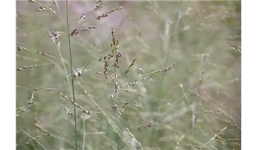 Gartenbaumschule Becker