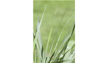 Gartenbaumschule Becker