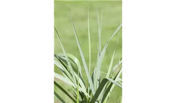 Gartenbaumschule Becker