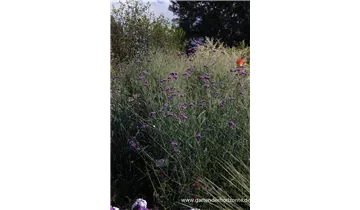 Gartenbaumschule Becker