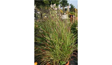 Gartenbaumschule Becker