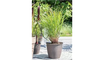 Gartenbaumschule Becker