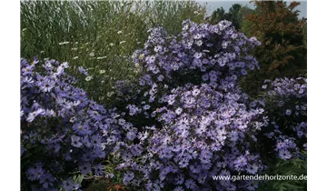 Gartenbaumschule Becker