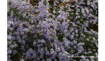 Gartenbaumschule Becker