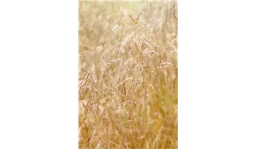 Gartenbaumschule Becker