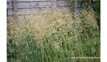 Gartenbaumschule Becker