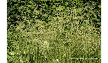 Gartenbaumschule Becker