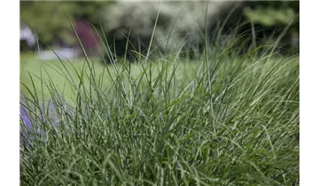 Gartenbaumschule Becker