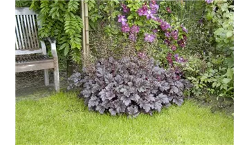 Gartenbaumschule Becker