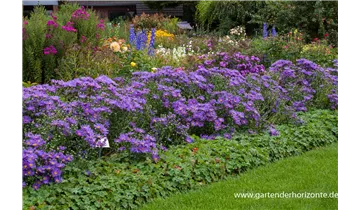 Gartenbaumschule Becker
