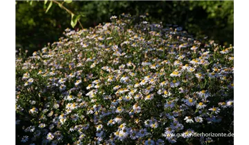 Gartenbaumschule Becker