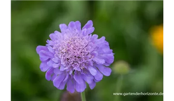 Gartenbaumschule Becker