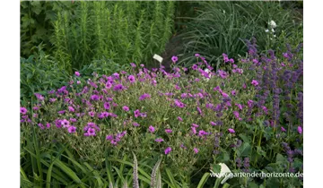 Gartenbaumschule Becker