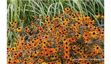 Gartenbaumschule Becker