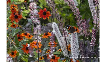 Gartenbaumschule Becker