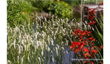 Gartenbaumschule Becker