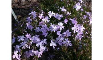 Gartenbaumschule Becker