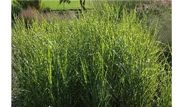 Gartenbaumschule Becker