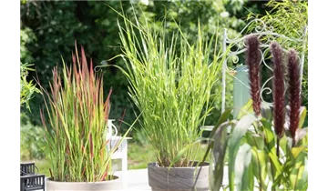 Gartenbaumschule Becker