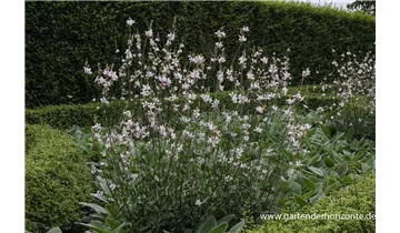 Gartenbaumschule Becker