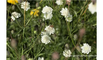 Gartenbaumschule Becker