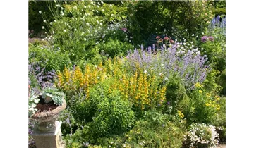 Gartenbaumschule Becker