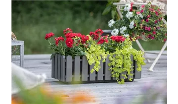 Gartenbaumschule Becker