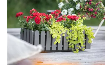 Gartenbaumschule Becker