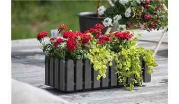 Gartenbaumschule Becker